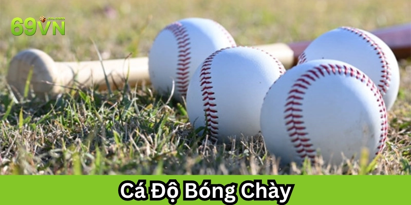 Cá Độ Bóng Chày Là Gì? Nhập Môn Cơ Bản Cho Tân Thủ