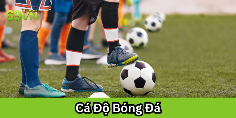 Cá Độ Bóng Đá hoạt động như thế nào?
