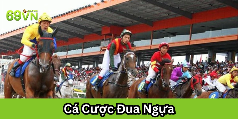 Cá Cược Đua Ngựa Dễ Hay Khó? Những Sai Lầm Tân Thủ Hay Gặp