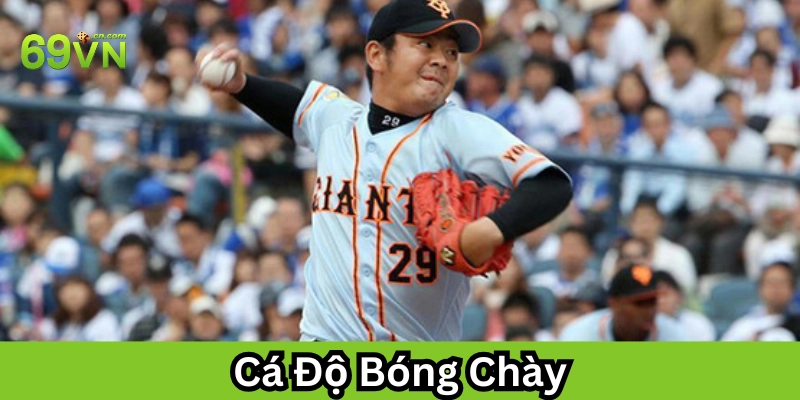 Kinh nghiệm Cá Độ Bóng Chày