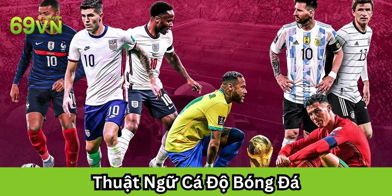 Thuật Ngữ Cá Độ Bóng Đá có gì quan trọng