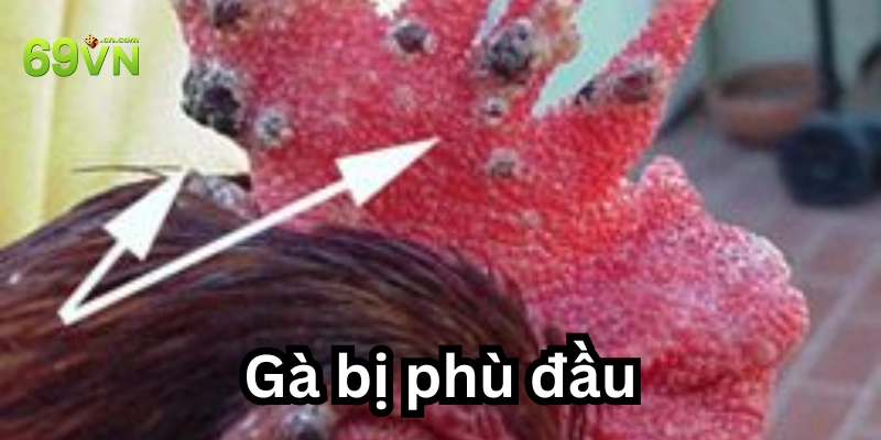 Câu hỏi thường gặp