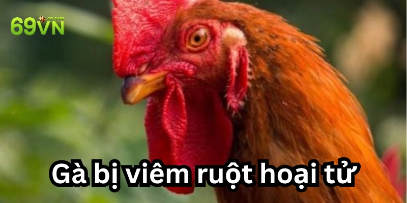 Làm sao để nhận biết bệnh?